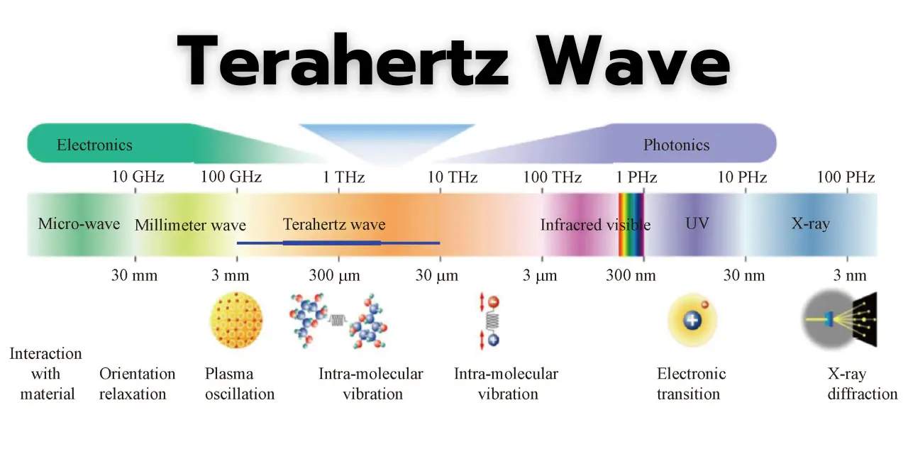 Vitality Wand - OlyProduct.com